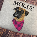 Custom Embroidered Pet Sweatshirt